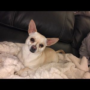 Meet your Posher, Connie